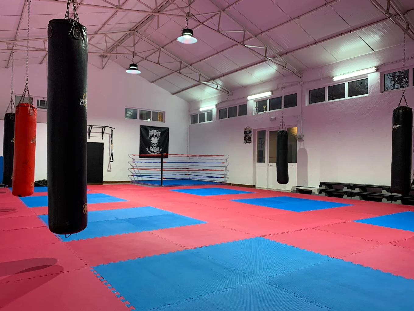 Tatami Principal